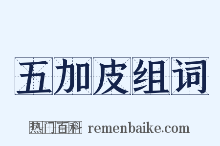 五加皮组词是什么意思的图片